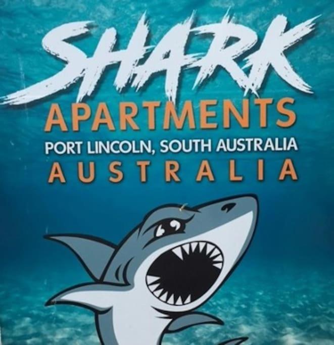 Port Lincoln Shark Apartment 5 외부 사진